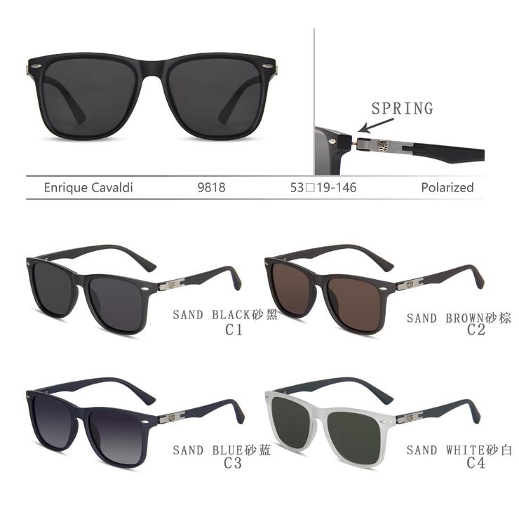 Polarized plastic sunglasses with spring hinhes Enrique Cavaldi EC9818