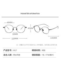 Metal pure titanium frame SANTA 纯钛S8817