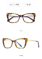 Plastic frames for glasses TR90+CA material (flex hinges) FOCUS FCS2065