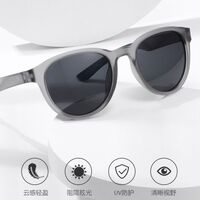 Plastic polarized men's round-rimmed sunglasses Elit 23G17-EL