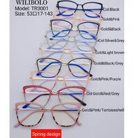 Оправа металл + TR90 ультратонкая с флексом Wilibolo TR3001