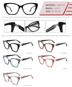 Plastic acetate frame with spring hinges LE2017-DA