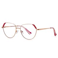 Metal Blue Blocker frames for glasses, with flex hinges MORE FCS3079