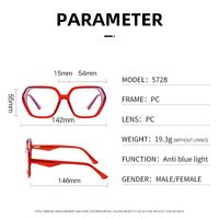 Plastic frame with anti-blue light protection lenses, with spring hinges Elit 5728-EL