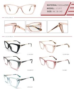 Plastic TR90 and acetate frame with spring hinges LE1077-DA