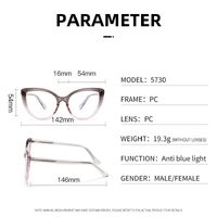 Plastic frame with anti-blue light protection lenses, with spring hinges Elit 5730-EL