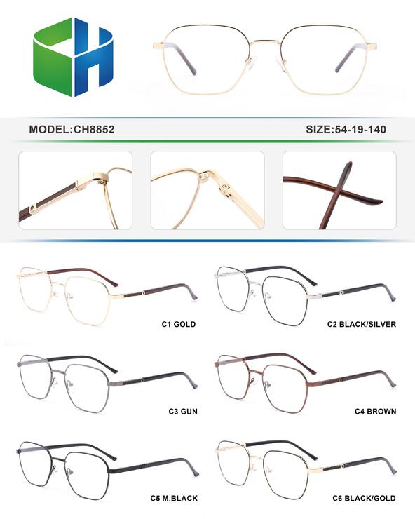 Оправа металлическая мужская с флексом CH8852-DA