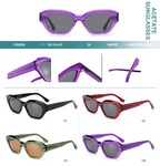 Polarized acetate plastic sunglasses Big City HS2852