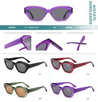 Polarized acetate plastic sunglasses Big City HS2852