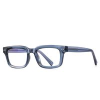 Plastic TR90 frames for glasses with Blue Ray Cut protection FOCUS FCS2189