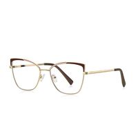 Metal Blue Blocker frames for glasses MORE FCS3104