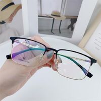 Titanium frame SANTA T9049