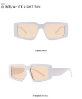 Sunglasses Elit modern model 2237
