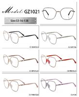 Оправа металлическая с мягким носоупором и флексом GZ1021-DA