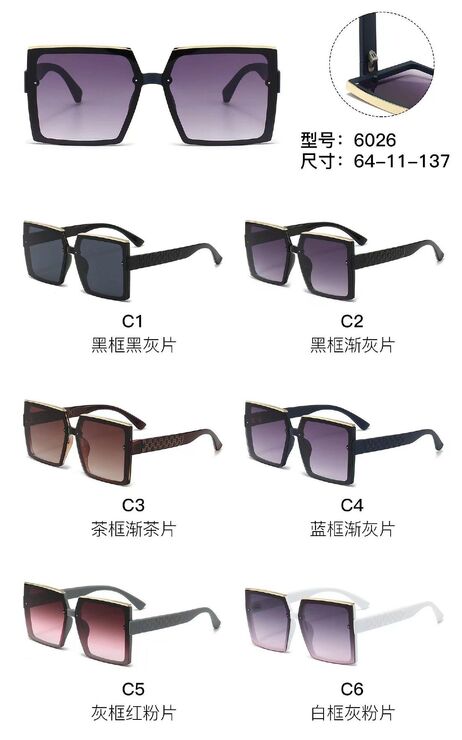 PC plastic sunglasses with metal hinge 6026W