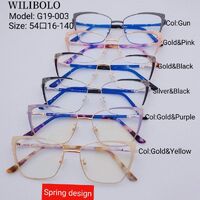 Оправа металл + TR90 ультратонкая женская с флексом Wilibolo G19-003