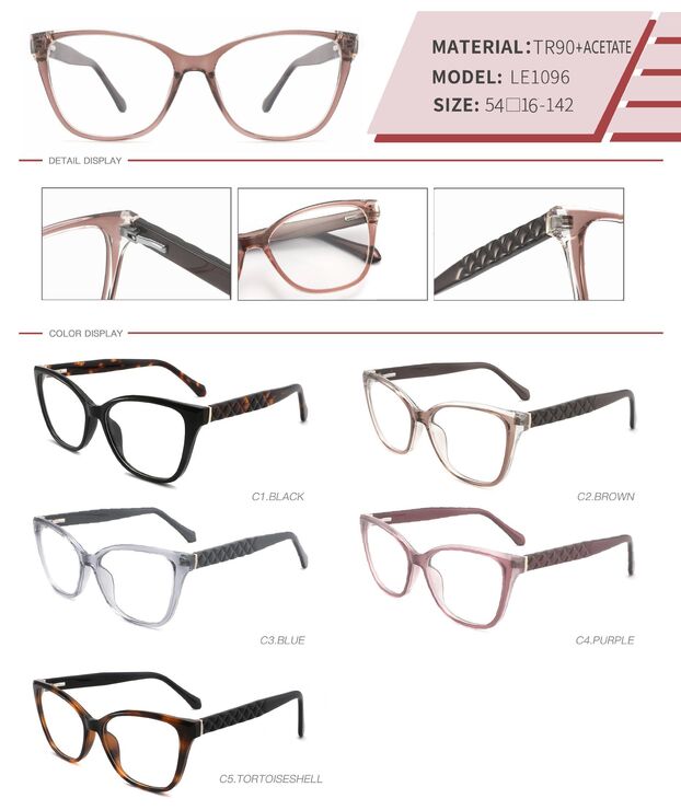 Plastic TR90 and acetate frame with spring hinges LE1096-DA