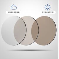 Photochromic glasses with blue light and UV protection 9685-GT