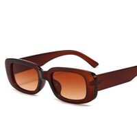 Polarized plastic sunglasses with UV400 protection 9071-GT