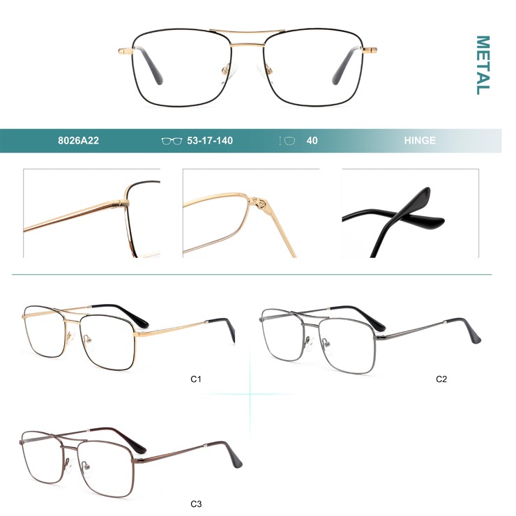 Metal frames for glasses Big City 8026A22