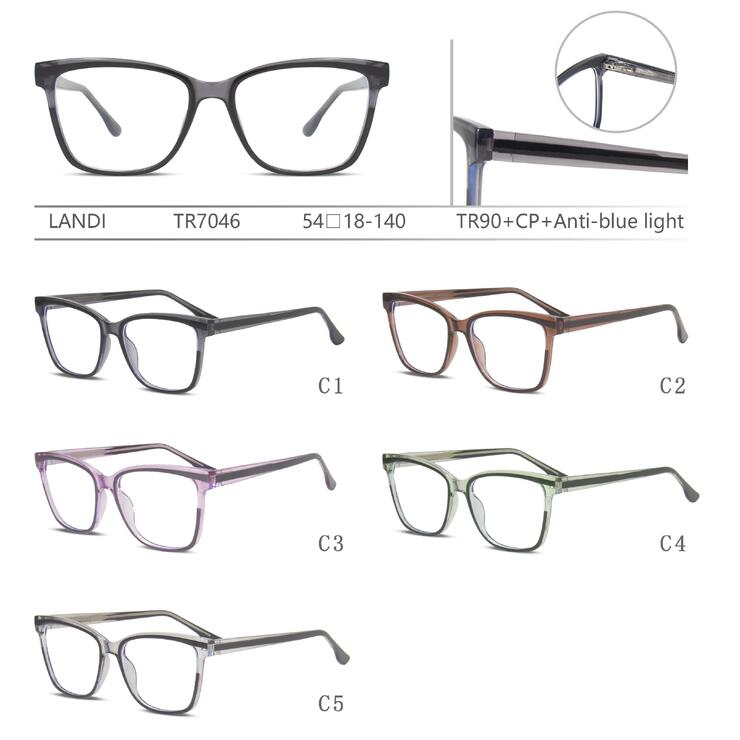 Protective plastic TR90+CP glasses with anti-blue light lenses with spring hinges Landi LD-TR7046