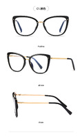 Plastic frames for glasses TR90+CA material (flex hinges) FOCUS FCS2111