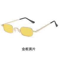 Солнцезащитные металлические мини очки R03