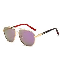 Polarized metal sunglasses with UV400 protection 2924-GT