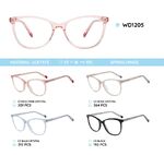 Plastic acetate eyeglasses frame with spring hinges WD1205