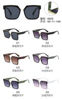 PC plastic sunglasses with metal hinge 6023W