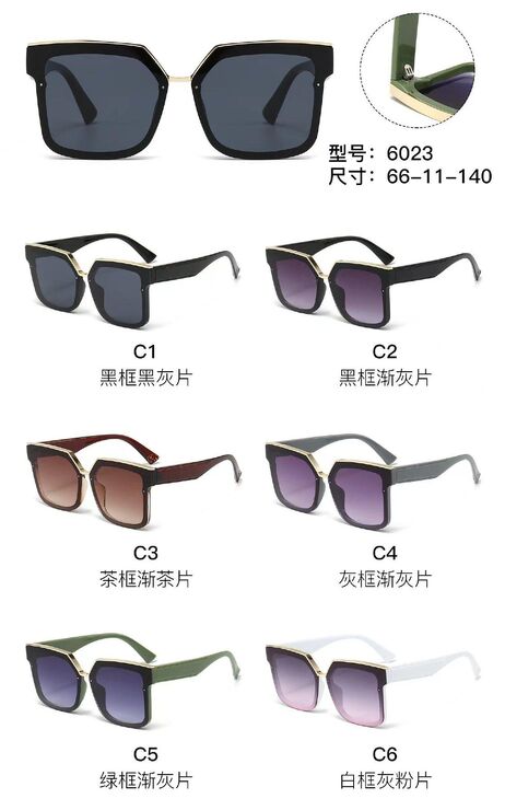 PC plastic sunglasses with metal hinge 6023W