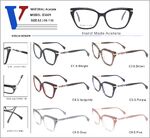 Plastic acetate +metal frame with spring hinges D3029-DA