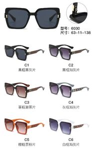 PC plastic sunglasses with metal hinge 6030W