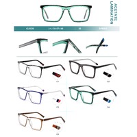 Plastic frames for glasses, acetate lamination with spring hinges Big City CL9020