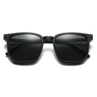 Оправа пластиковая TR90/PC + комплект из 5 поляризационных солнцезащитных насадок (клипон) на магните + кожаная сумка El Dorado EL9507