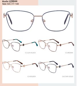 Metal frame with spring hinges LE8844-DA