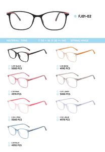 TR90 plastic eyeglasses frame FJ01-02