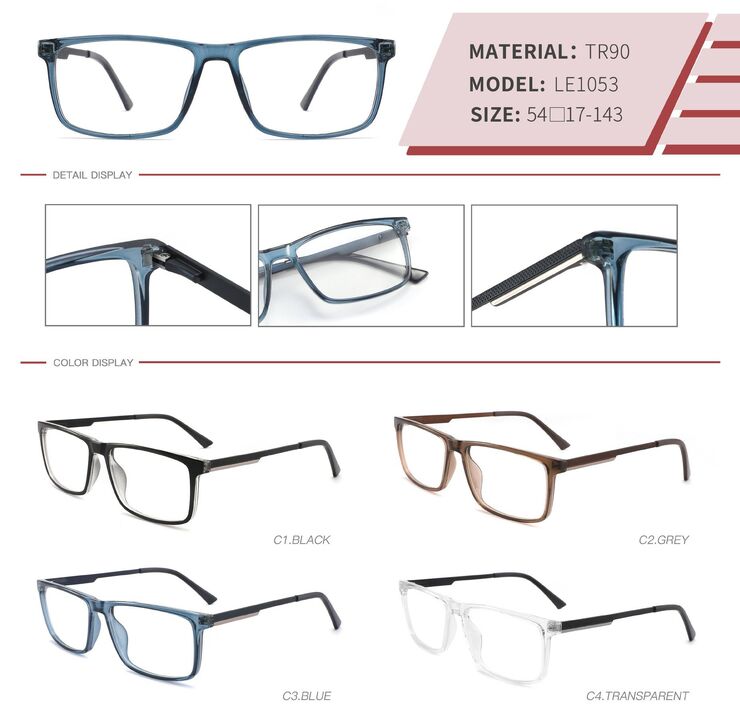 Plastic TR90 frame with spring hinges LE1053-DA