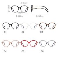 Plastic TR90 + metal frames for glasses with Blue Ray Cut protection and flex hinges FOCUS FCS2213