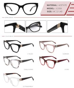 Plastic acetate frame with spring hinges LE2005-DA