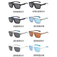 Пластиковые поляризационные мужские солнцезащитные очки Elit 23G21-EL