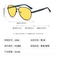 Photochromic glasses with blue light and UV protection 2956-GT
