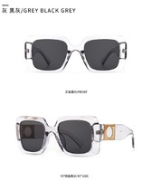 Sunglasses Elit stylish modern 86001