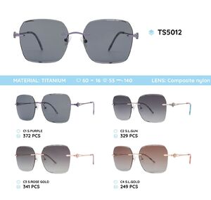 Titanium rimless frame polarized sunglasses TS5012