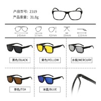 El Dorado frames with polarized sunshades set (clip-on) on magnet 2319 (5 pieces) 