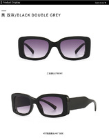 Sunglasses Elit modern cat eye 2102