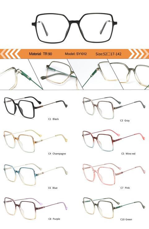 Plastic TR90 frame for women with spring hinges SY1012-DA