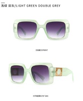 Sunglasses Elit stylish modern 86001