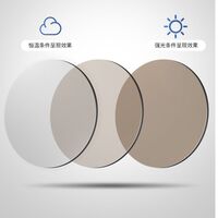 Очки металлические фотохромные с защитой от синего света 9704-GT