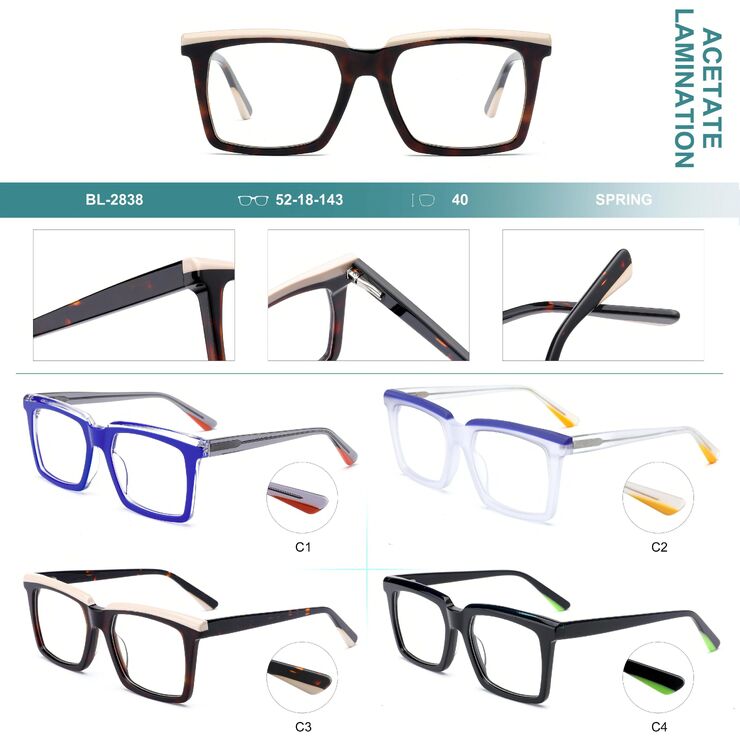 Plastic frames for glasses, acetate lamination with spring hinges Big City BL-2838